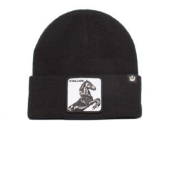 Goorin Bros Night Mare Beanie