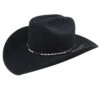 Alamo 2X Cowboy Western Hat
