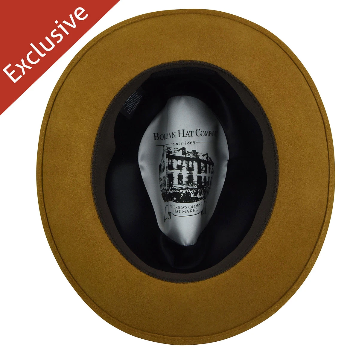 Anthony L. Fedora - Exclusive 7 Anthony L. Fedora - Exclusive - Image 5