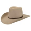 Truckton 3X Cowboy Western Hat -Kangol Sales Shop W1603A TM284 MAIN