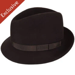 Paradigm Fedora - Exclusive 8 Paradigm Fedora - Exclusive -Kangol Sales Shop hc05para br204 main