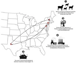 Kangol USA Woollux 504 - Limited Edition -Kangol Sales Shop img 4723